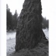NewPages Review of basalt vol 6, no 1 Basalt Volume 6 Number 1 2011 Annual Review by Robyn Campbell Although Basalt is based in and linked to the state of Oregon—taking its name from the igneous rock prevalent...
