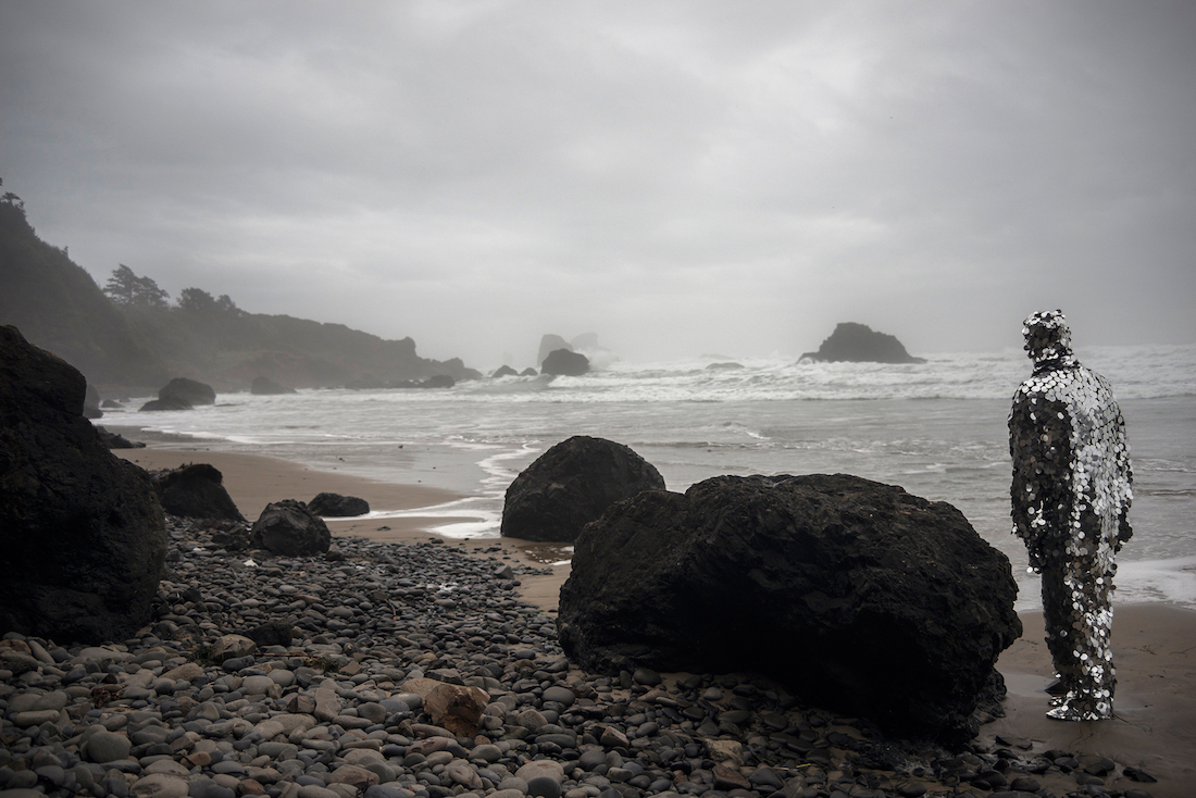 Oscillator in Ecola State Park