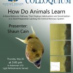 Shaun Cain How do Animals Learn poster