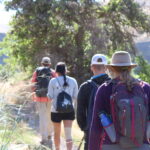 Students Hiking at Cottonwood Crossing