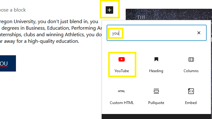 Selecting a YouTube Block in WordPress
