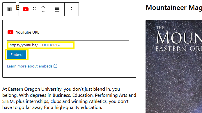 Adding a URL to the YouTube Block in WordPress

