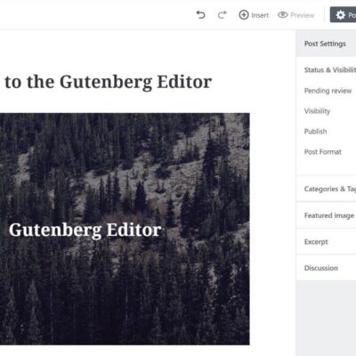 Gutenberg Interface Screenshot