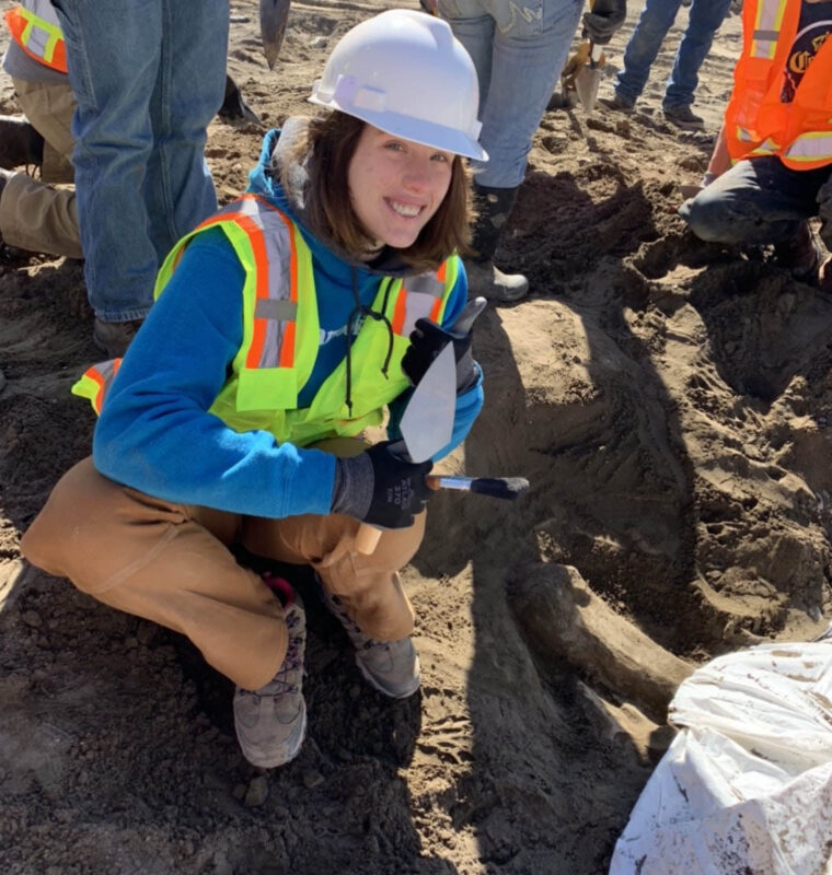 A mammoth undertaking