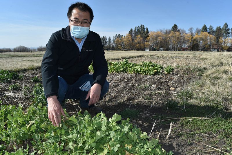 Growing up, Growing better