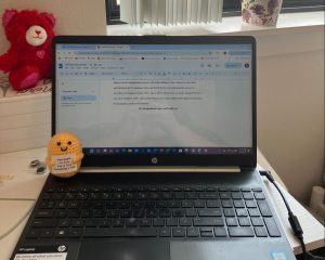 My Experience as an Online English Student