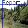 Visit report page