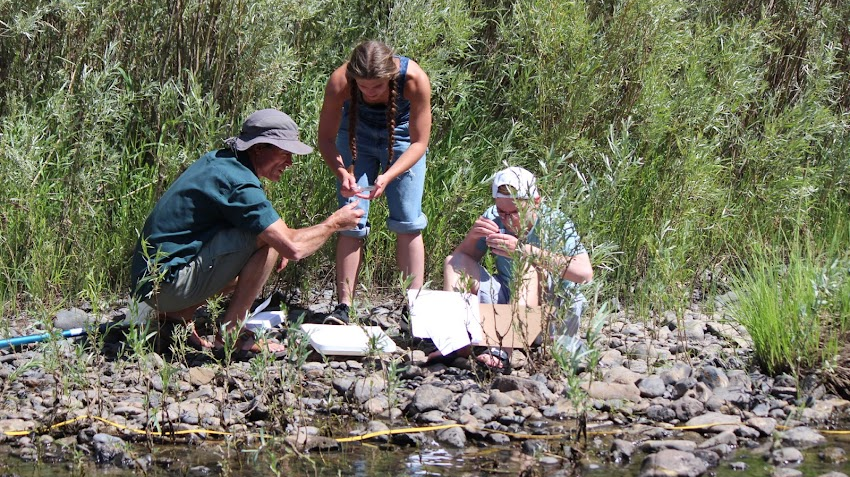 Students studying at Cottonwood Crossing Summer Institute