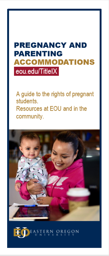 Pregnancy and Title IX Brochure