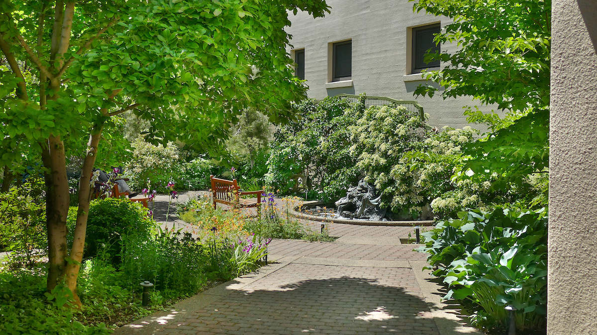Ackerman Hall courtyard Stenard Garden