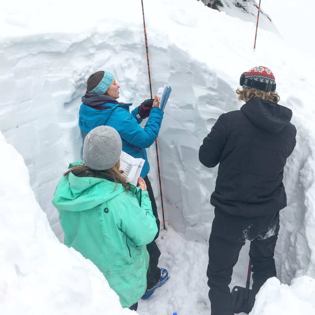 OUT 220 Avalanche Fundamentals course students taking snow pit profile notes. 
