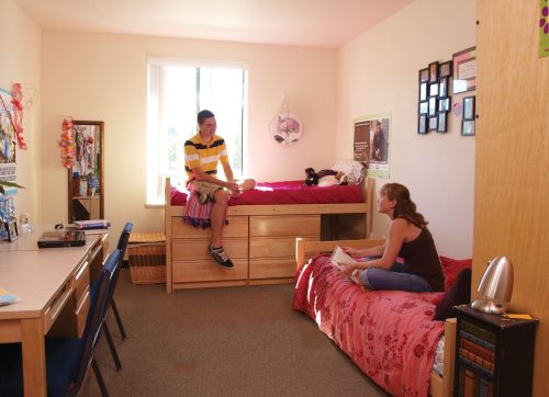 Students sitting in a residence hall bedroom with with pictures hanging on the walls, a mirror leaning on the all, and plants in the window