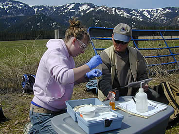EOU Chemistry Club Community Involvement