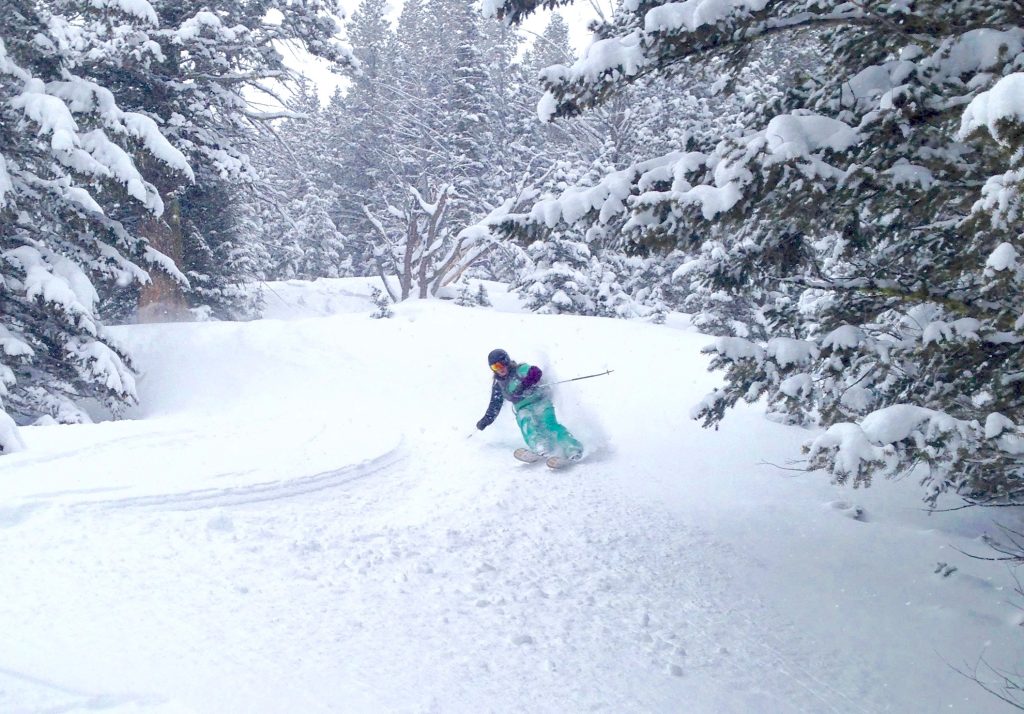 A skier carves through fresh powder and representative of skills learned in OUT 180 Backcountry Skiing and Snowboarding course. 