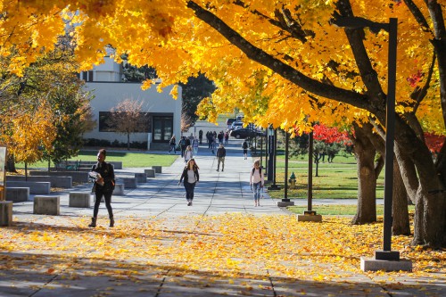 fall on campus 2017
