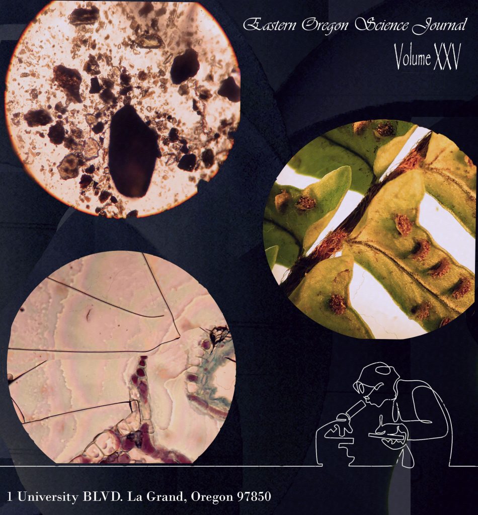 Cover Art by Dierdre McKay