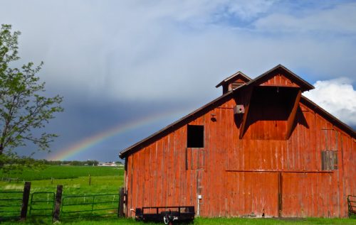Red Foothill barn and rainbow.