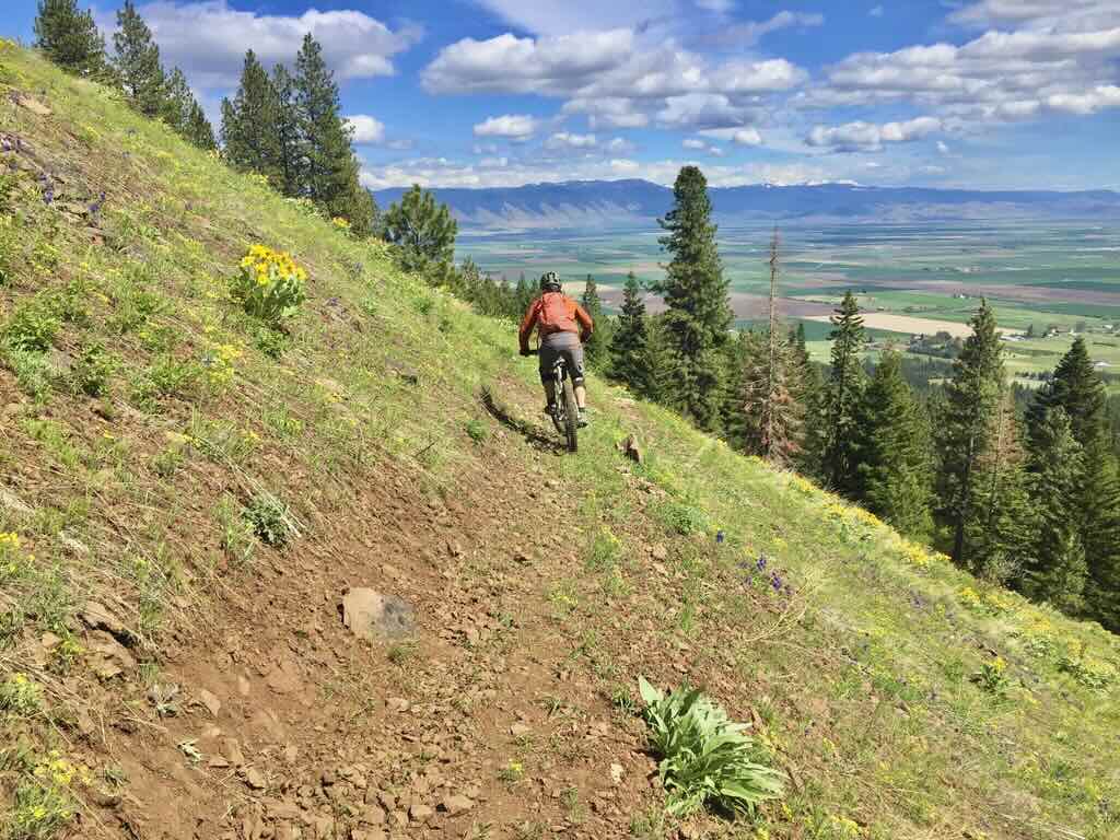Mountain biker with scenic view of Grande Ronde Valley.
