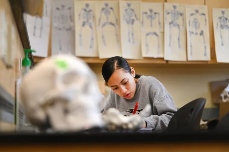 A student working on a project in anatomy lab